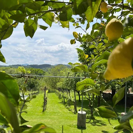 Caserio Mahasti Nyaraló *