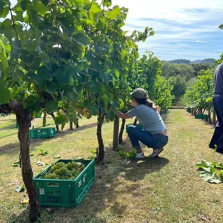 Caserio Mahasti Nyaraló *