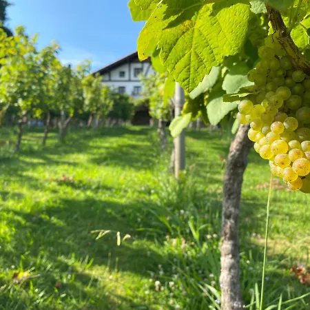 Nyaraló Caserio Mahasti *