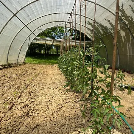 Nyaraló Caserio Mahasti