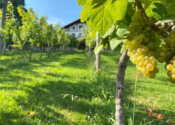 度假居 Caserio Mahasti *