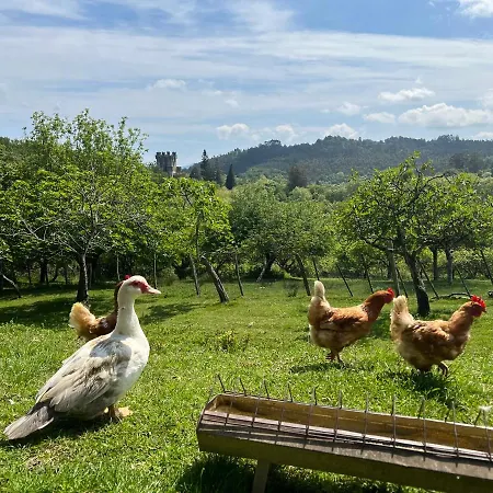 Caserio Mahasti Tatil Evi *