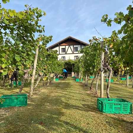 Caserio Mahasti Tatil Evi Butron