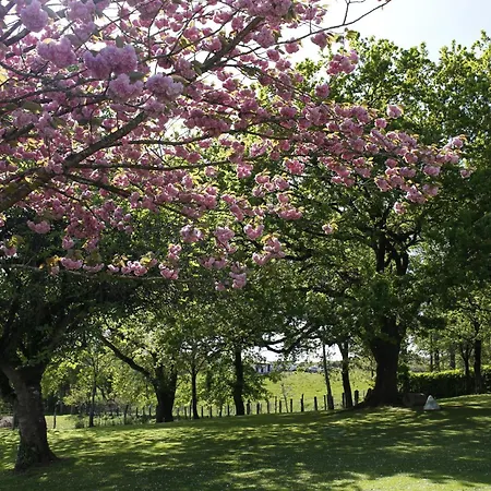 Caserio Mahasti Tatil Evi