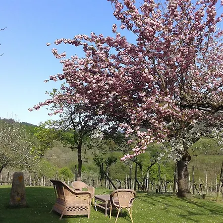 Tatil Evi Caserio Mahasti