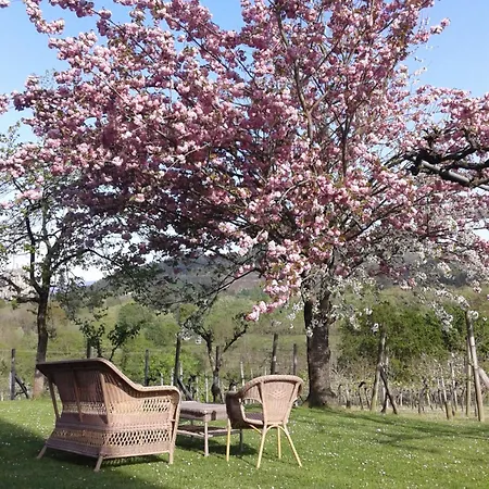 Tatil Evi Caserio Mahasti *