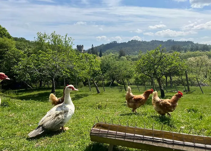 Caserio Mahasti Casa vacanze *