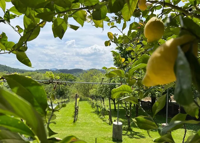 Caserio Mahasti Casa vacanze *