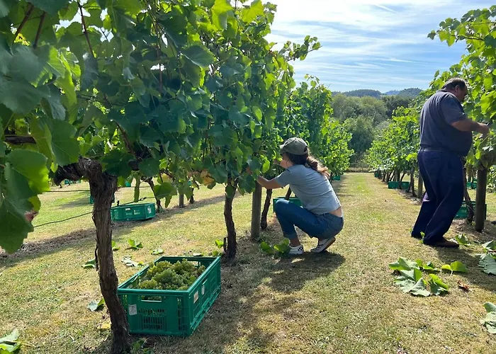 Caserio Mahasti Casa vacanze *