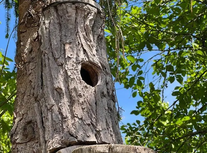 Caserio Mahasti * Butron