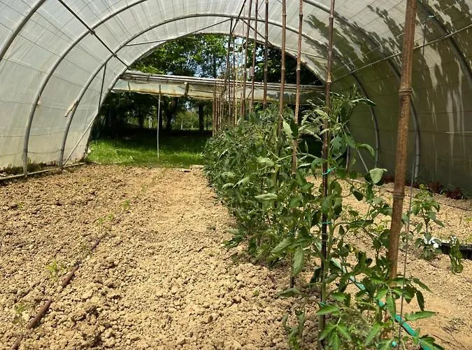 Casa vacanze Caserio Mahasti