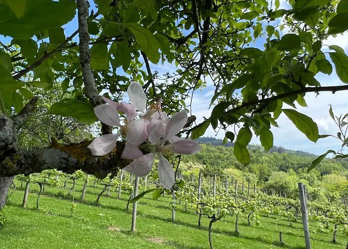 Caserio Mahasti Casa vacanze