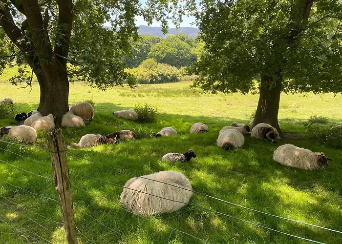 Caserio Mahasti Casa vacanze *