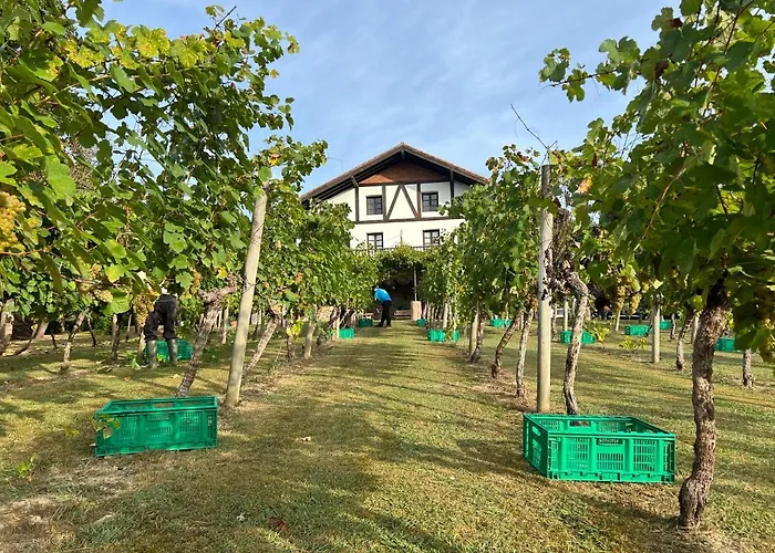 Caserio Mahasti Casa vacanze Butron