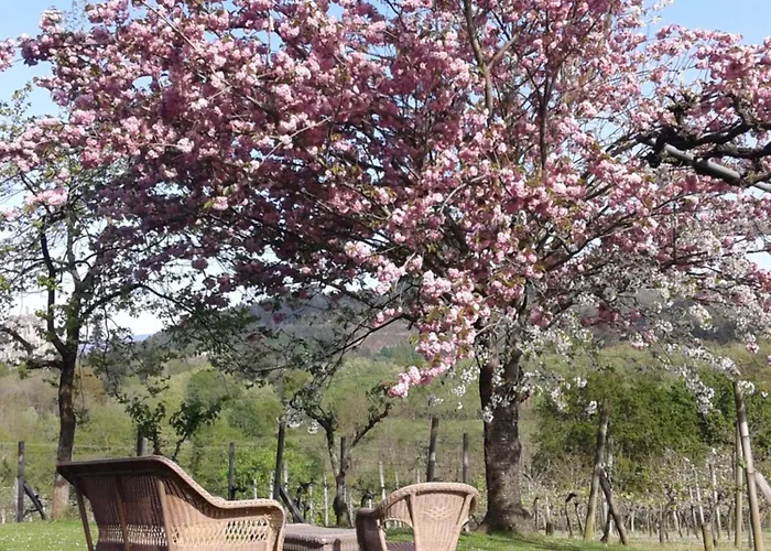 Casa vacanze Caserio Mahasti *